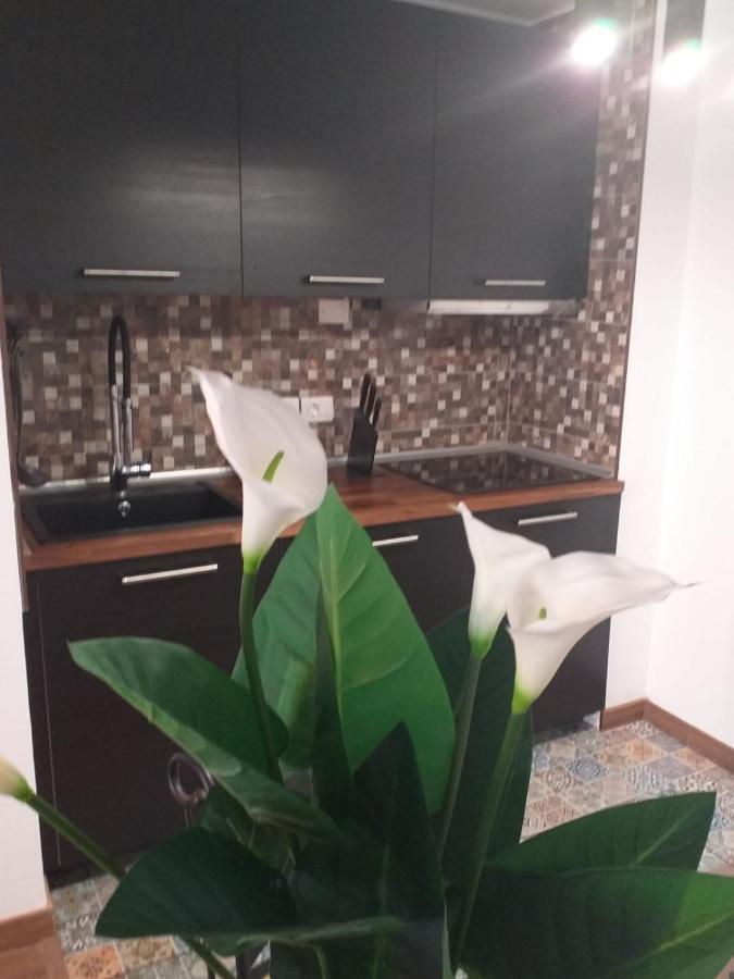 Loft 113 Apartment Corralejo Luaran gambar